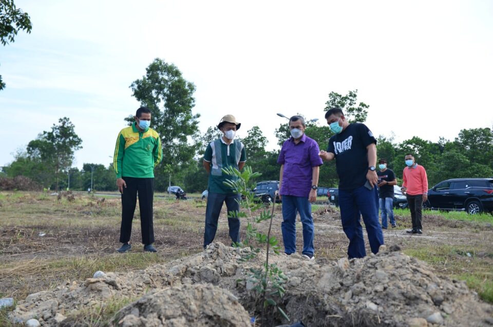 Syamsuar Tinjau DLKHK Provinsi Riau Melaksanakan Kegiatan Penanaman Pohon Dikawasan Stadion Utama Riau