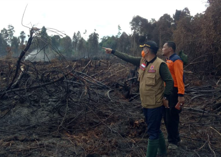 24 Orang Jadi Tersangka Kebakaran Lahan Sepanjang 2021 di Riau