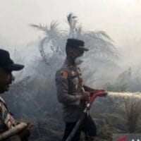 Kebakaran Lahan Seluas 25 Hektare Terjadi di Rokan Hilir Riau