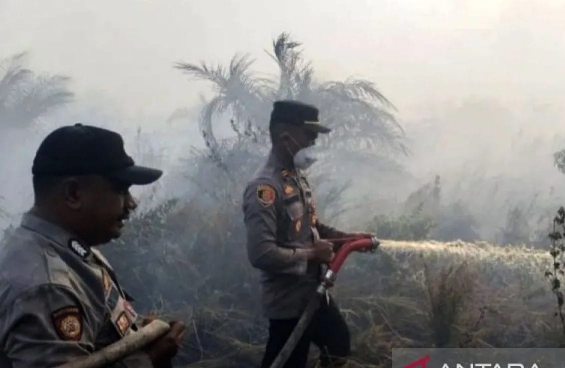 Kebakaran Lahan Seluas 25 Hektare Terjadi di Rokan Hilir Riau