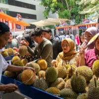 BRI Dukung Klaster Durian Pekalongan, Dorong Pertumbuhan Ekonomi Kerakyatan