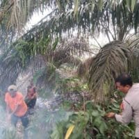 Kebakaran Hutan dan Lahan di Kampar Makin Mengkhawatirkan