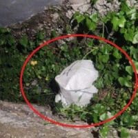 Tanda Tanya Besar, Apa Motif Pelaku Menebas Kepala Korban?