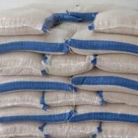 Produksi Padi Riau Januari Meningkat 13,49 Persen dari Tahun Sebelumnya