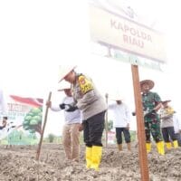 Polda Riau Dorong Ketahanan Pangan dengan Program Penanaman Jagung dan Budidaya Ikan Patin