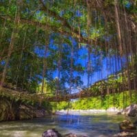 Banjir Melanda Pesisir Selatan: Jembatan Akar Ambruk
