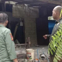 Kawanan Gajah Rusak Rumah dan Beruang Madu Teror Warga Siak