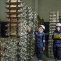 Ekspor Babel Melonjak, Nontimah Jadi Sorotan