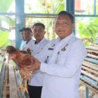 WBP Lapas Pasir Pangaraian Dilatih Beternak Ayam Petelur