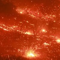 Postingan Israel di Tengah Kebakaran Hutan Los Angeles Tuai Kritik Pedas