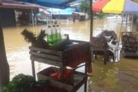 Banjir Rendam Lima Desa di Kampar, Ratusan Rumah dan Jalan Lintas Terdampak