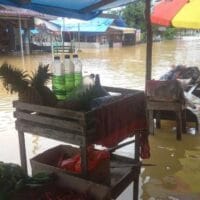 Banjir Rendam Lima Desa di Kampar, Ratusan Rumah dan Jalan Lintas Terdampak
