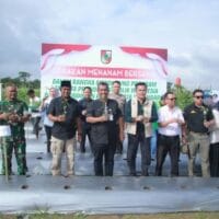 Pekanbaru Dorong Swasembada Pangan Lewat Gerakan Menanam Sayuran