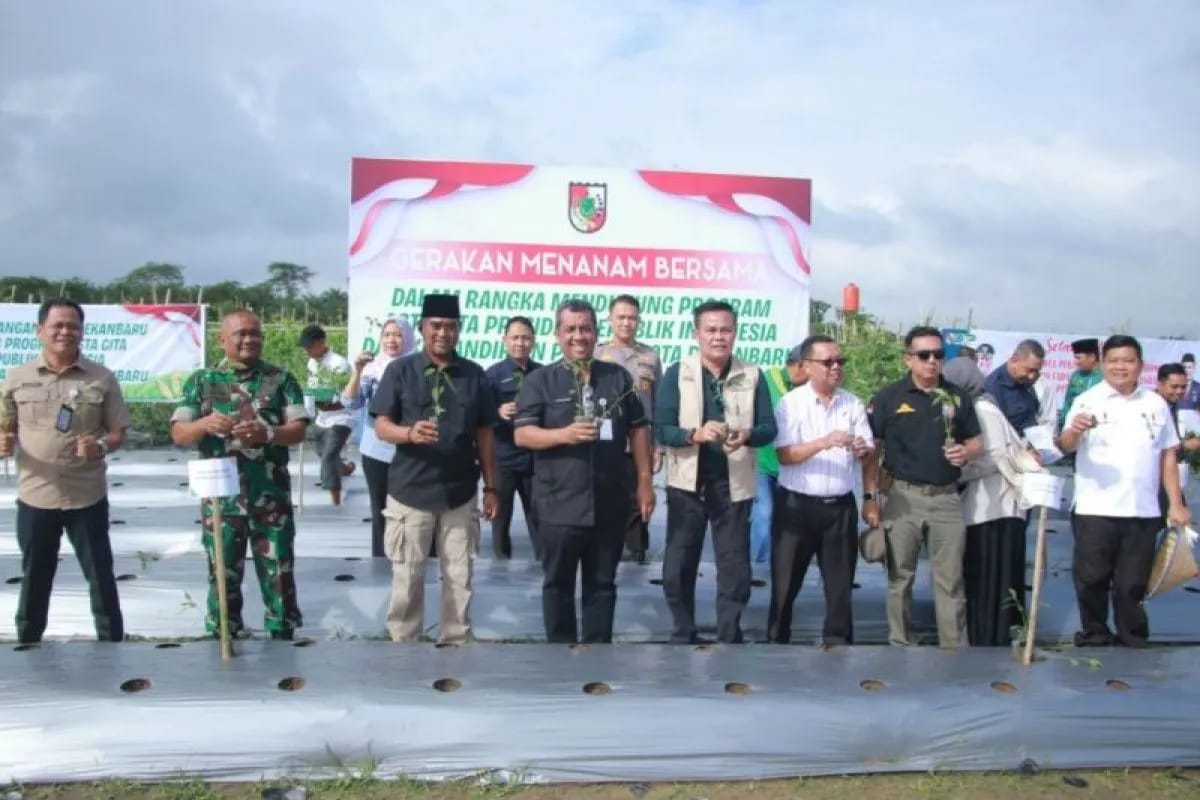 Pekanbaru Dorong Swasembada Pangan Lewat Gerakan Menanam Sayuran