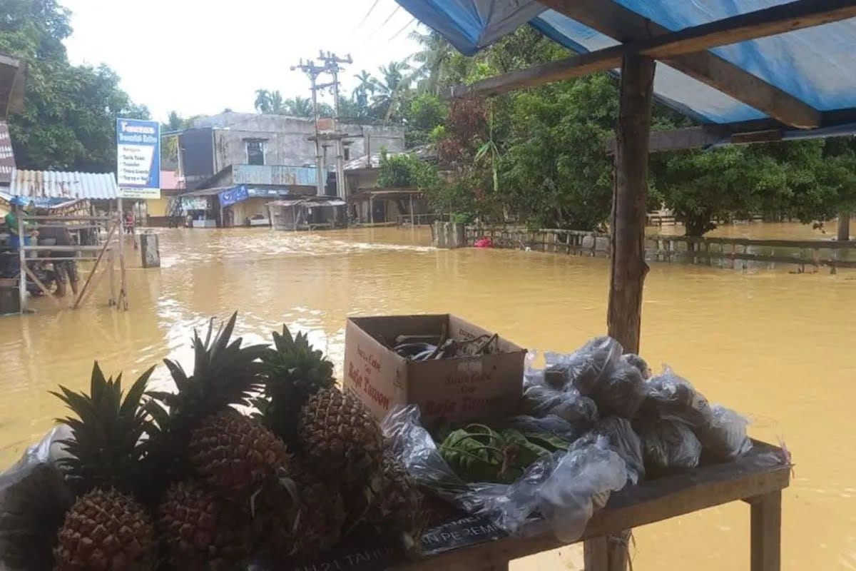 BPBD Riau Minta Bantuan Pusat Kirim Logistik untuk Banjir yang Semakin Meluas