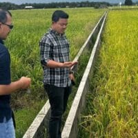 Bulog Riau Siap Serap Gabah Petani dengan Harga Terbaru