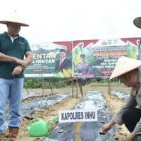 Polres Inhu dan PT TPP Kolaborasi Tanam Jagung untuk Ketahanan Pangan