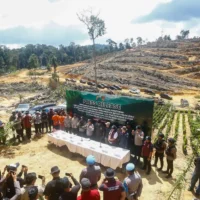 Perambahan Hutan Ilegal di Kampar, Miris ASN dan Tokoh Adat Terlibat