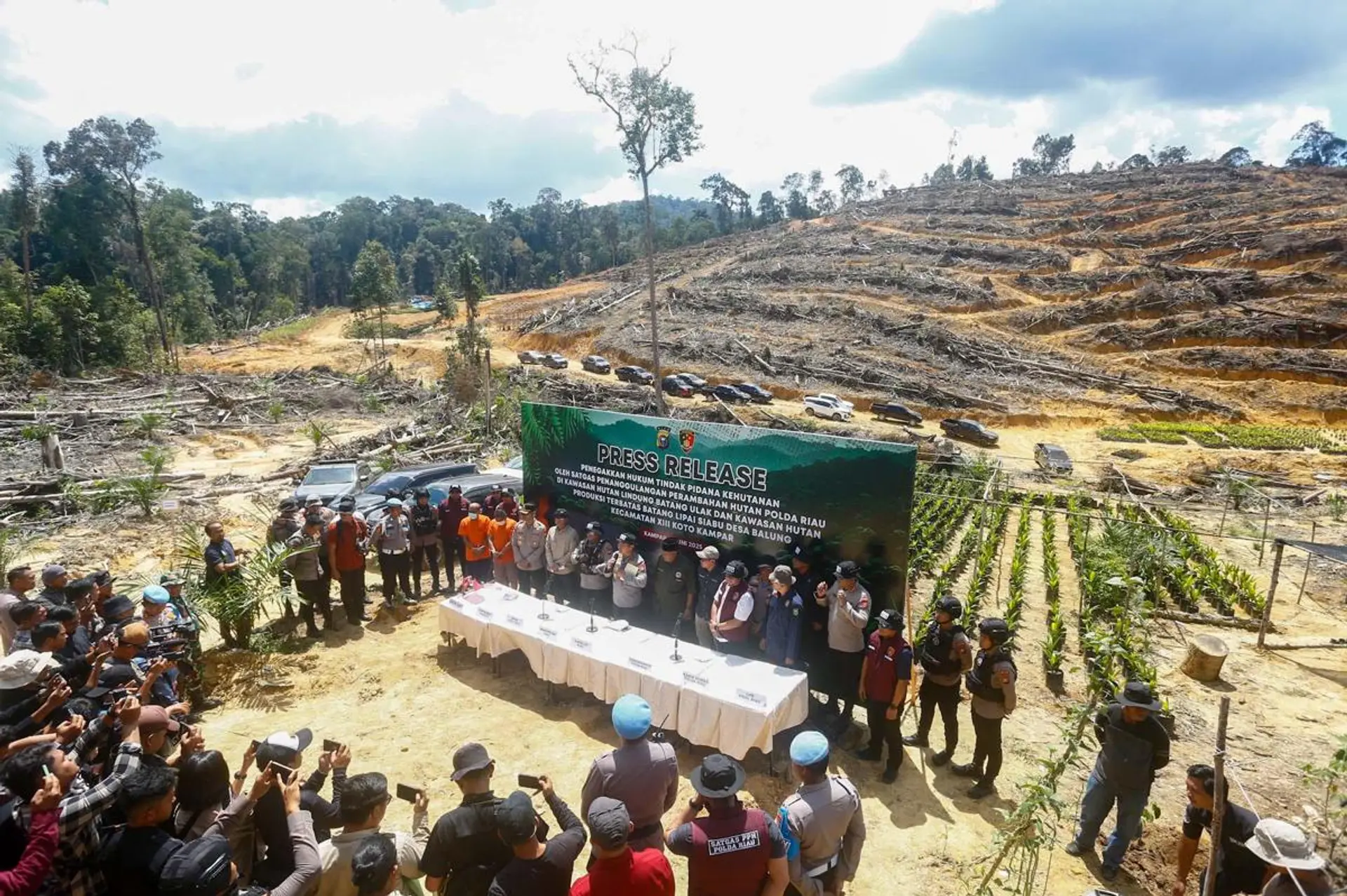 Perambahan Hutan Ilegal di Kampar, Miris ASN dan Tokoh Adat Terlibat